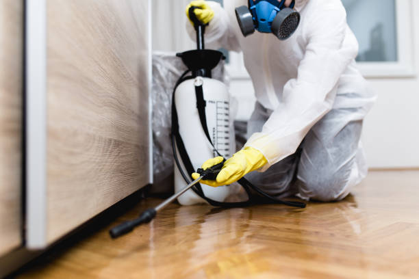 Best Pest Prevention Services  in Huntington Station, NY