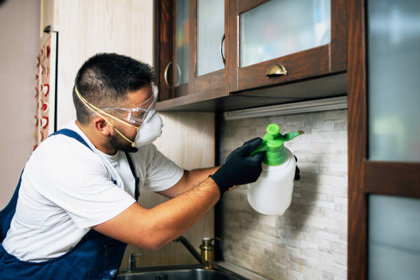 Trusted Huntington Station, NY Pest Control Experts