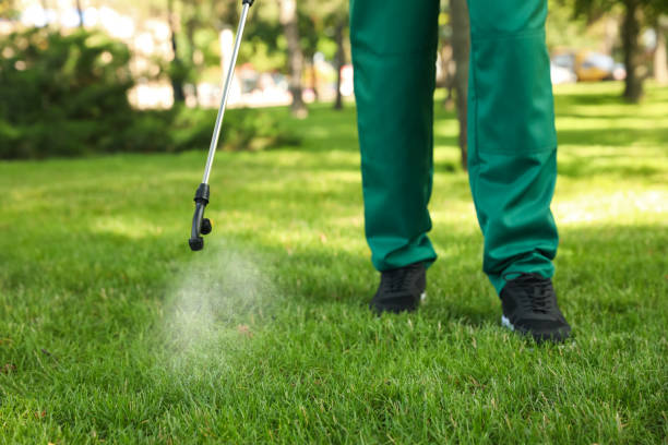 Best Residential Pest Control  in Huntington Station, NY