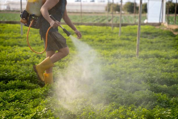 Best Ant Control Services  in Huntington Station, NY