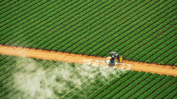 Best Commercial Pest Control Services  in Huntington Station, NY