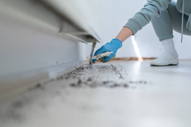 Wildlife Control Services in Huntington Station, NY